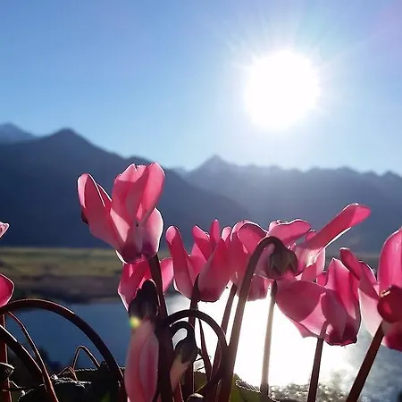 Alpenhof Grafleiten ツェル アム ゼー