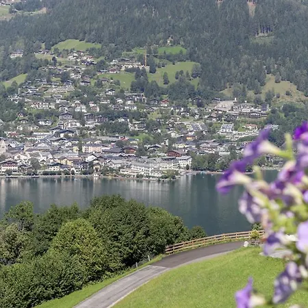 Affittacamere Alpenhof Grafleiten