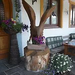 Penzion Alpenhof Grafleiten 4*