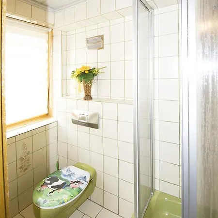 Alpenhof Grafleiten Maison d'hôtes Zell am See