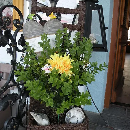 Alpenhof Grafleiten Zell am See